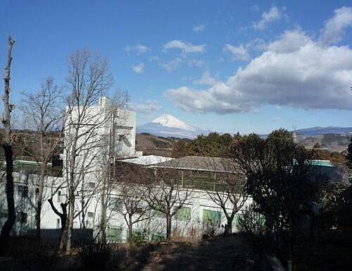 静岡県田方郡函南町丹那南箱根ダイヤランド 200万円