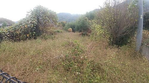 静岡県静岡市清水区立花 土地