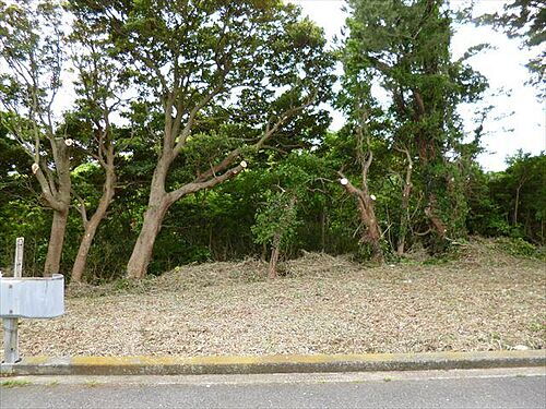 静岡県賀茂郡東伊豆町稲取 土地