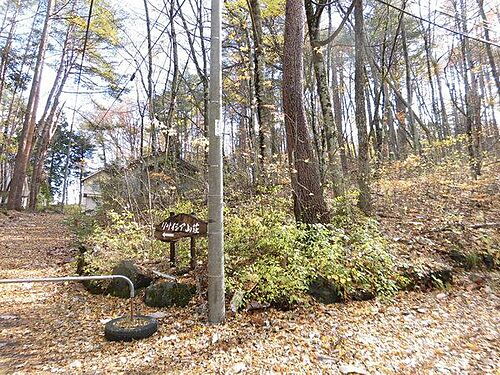 山梨県南都留郡鳴沢村鳴沢 土地