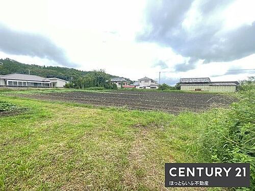 宮崎県都城市高崎町大牟田 土地