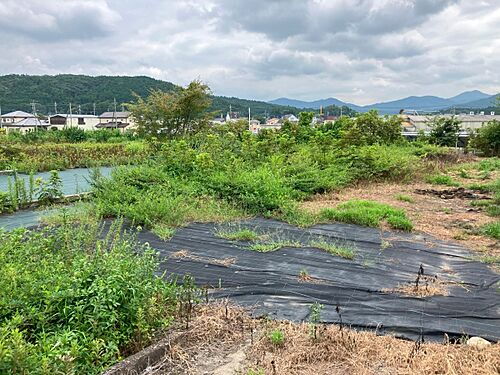 茨城県笠間市稲田 600万円