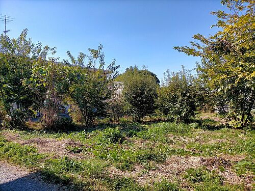 茨城県石岡市東大橋 土地