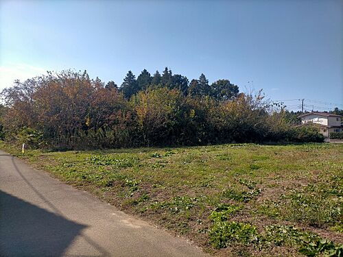 茨城県小美玉市羽鳥 土地