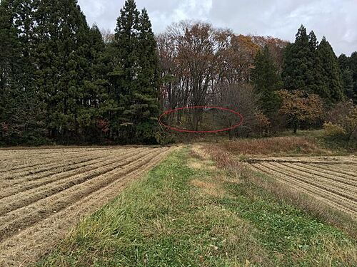 栃木県那須郡那須町大字高久丙 100万円
