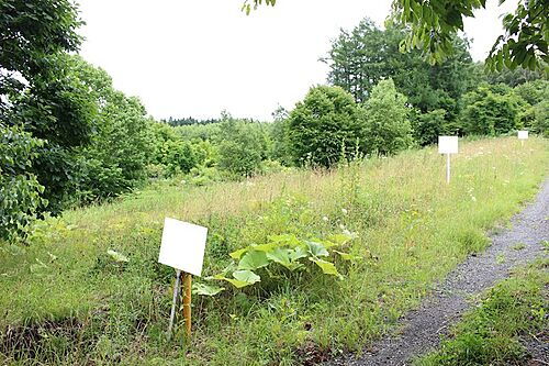 北海道網走市字呼人 土地