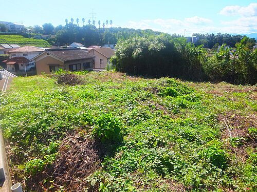 大分県大分市大字千歳 1100万円