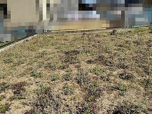 愛知県西尾市中畑町前山 土地