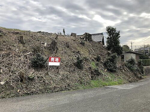 愛知県田原市谷熊町森山 土地