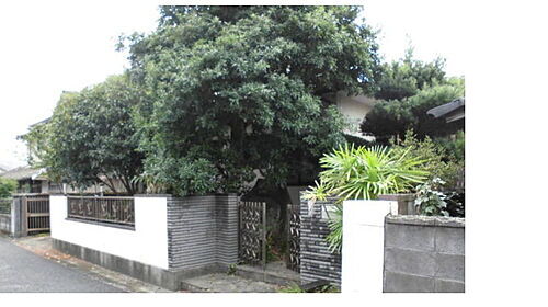 熊本県八代市鏡町下有佐 土地