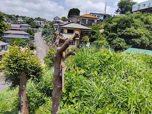 静岡県三島市大場 土地