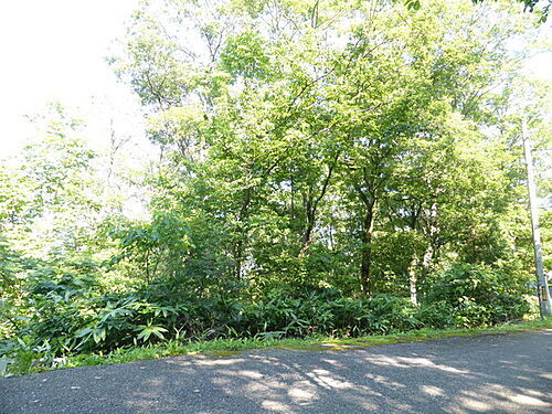 石川県羽咋郡志賀町小浦 土地