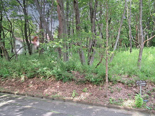 栃木県那須郡那須町大字高久乙 土地