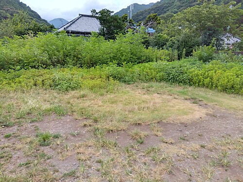 静岡県賀茂郡河津町梨本 土地