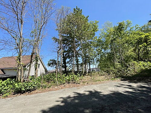 北海道小樽市松ケ枝２丁目 土地