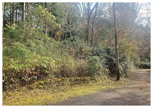 静岡県裾野市須山 土地