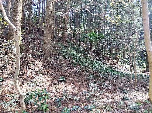 静岡県田方郡函南町平井 土地