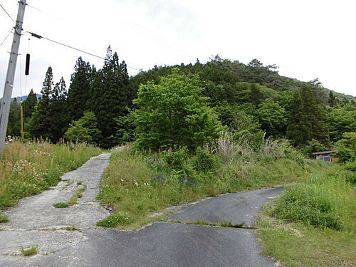 長野県木曽郡南木曽町吾妻 土地