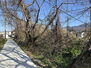 紀の川市粉河・土地・５６８３３ 前面道路含む現地写真
