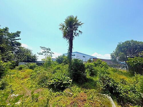 宮城県栗原市高清水大寺 土地