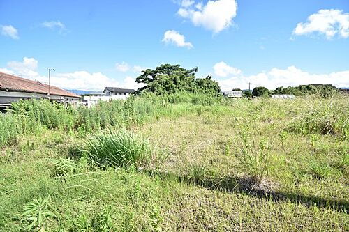 鹿児島県鹿屋市川西町 1876万円