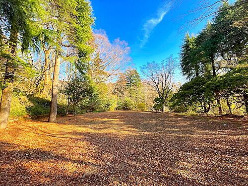 神奈川県足柄下郡箱根町仙石原 3500万円