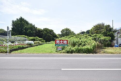 鹿児島県指宿市開聞十町 250万円