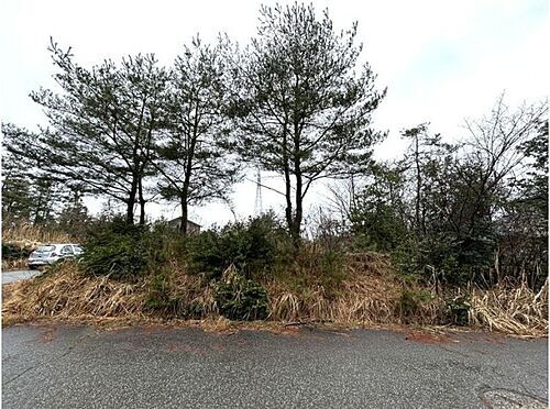 福井県あわら市下金屋 80.16万円