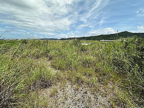 熊本県宇城市小川町北小野 土地