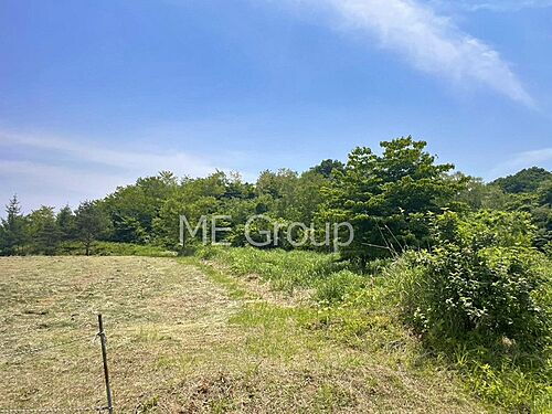 山形県鶴岡市羽黒町川代字大正 土地