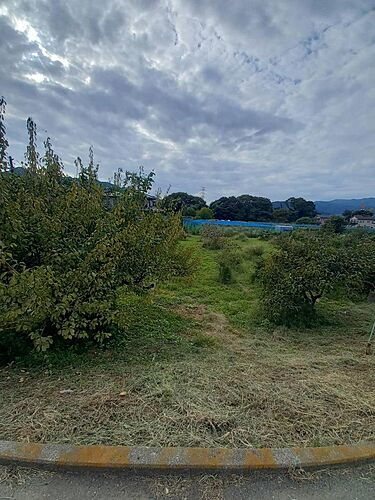 神奈川県相模原市緑区三ケ木 土地