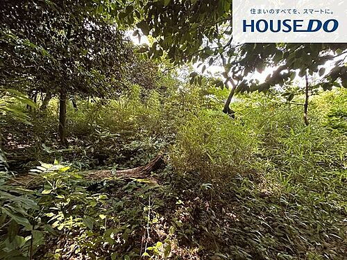 滋賀県高島市マキノ町石庭 土地