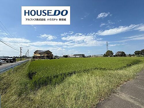 愛知県安城市柿碕町宮ノ西 土地