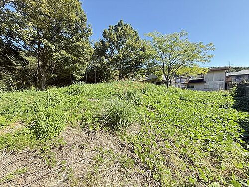 静岡県田方郡函南町平井 土地
