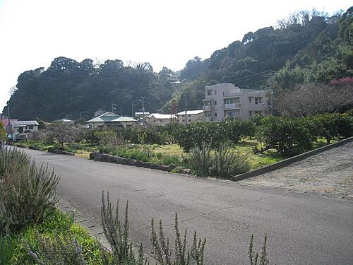 静岡県賀茂郡東伊豆町白田 土地