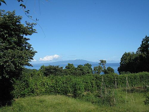 静岡県賀茂郡東伊豆町稲取 土地