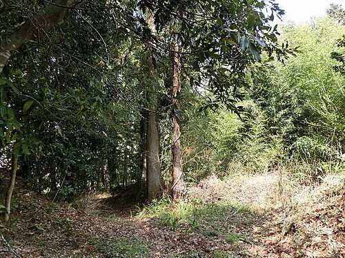 静岡県駿東郡小山町大胡田 土地