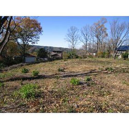 静岡県伊豆市堀切 土地