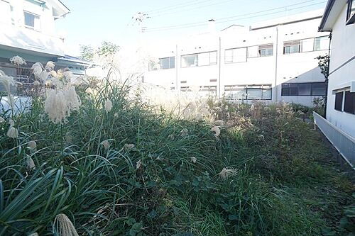 静岡県賀茂郡東伊豆町白田 土地