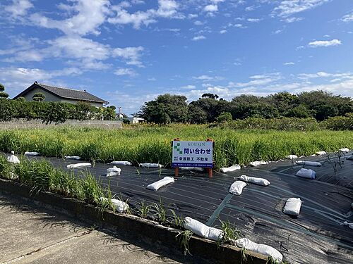 静岡県御前崎市白羽 土地