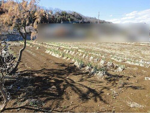 埼玉県比企郡吉見町大字黒岩 土地
