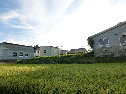 新潟県佐渡市秋津 土地