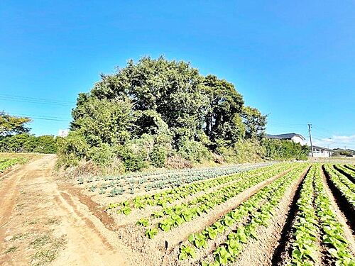福岡県遠賀郡遠賀町大字鬼津 410万円