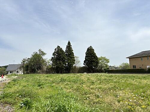 千葉県八街市吉倉 630万円