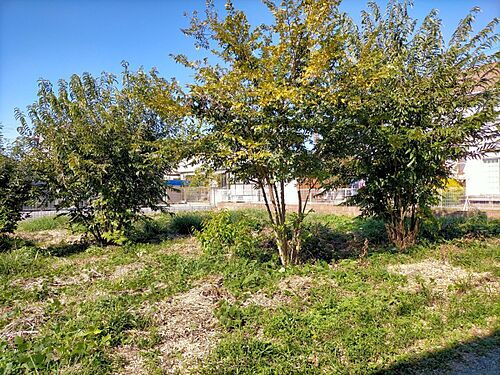 茨城県石岡市東大橋 土地