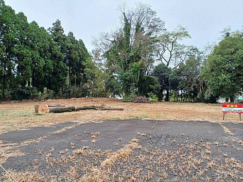 宮崎県児湯郡川南町大字川南 土地