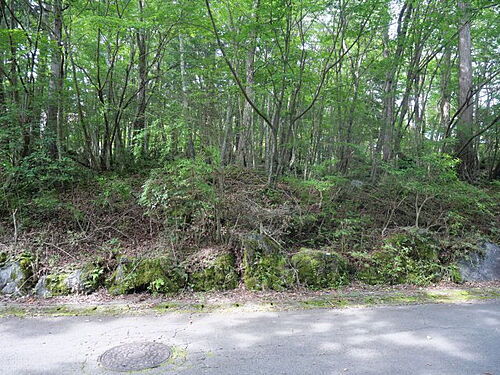 静岡県裾野市須山 土地