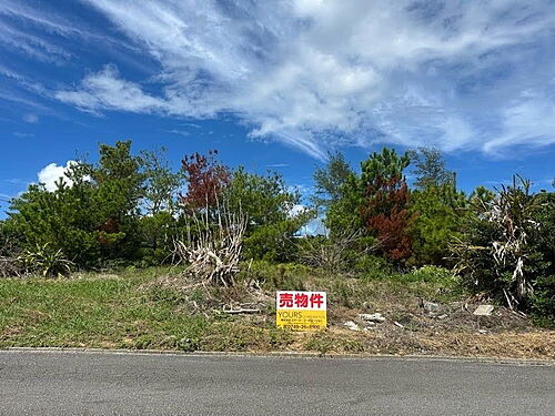 沖縄県国頭郡東村字慶佐次 土地