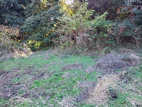 神奈川県三浦市初声町下宮田 土地