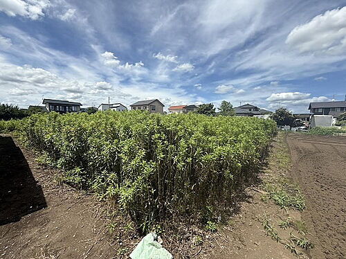茨城県ひたちなか市大字津田 土地